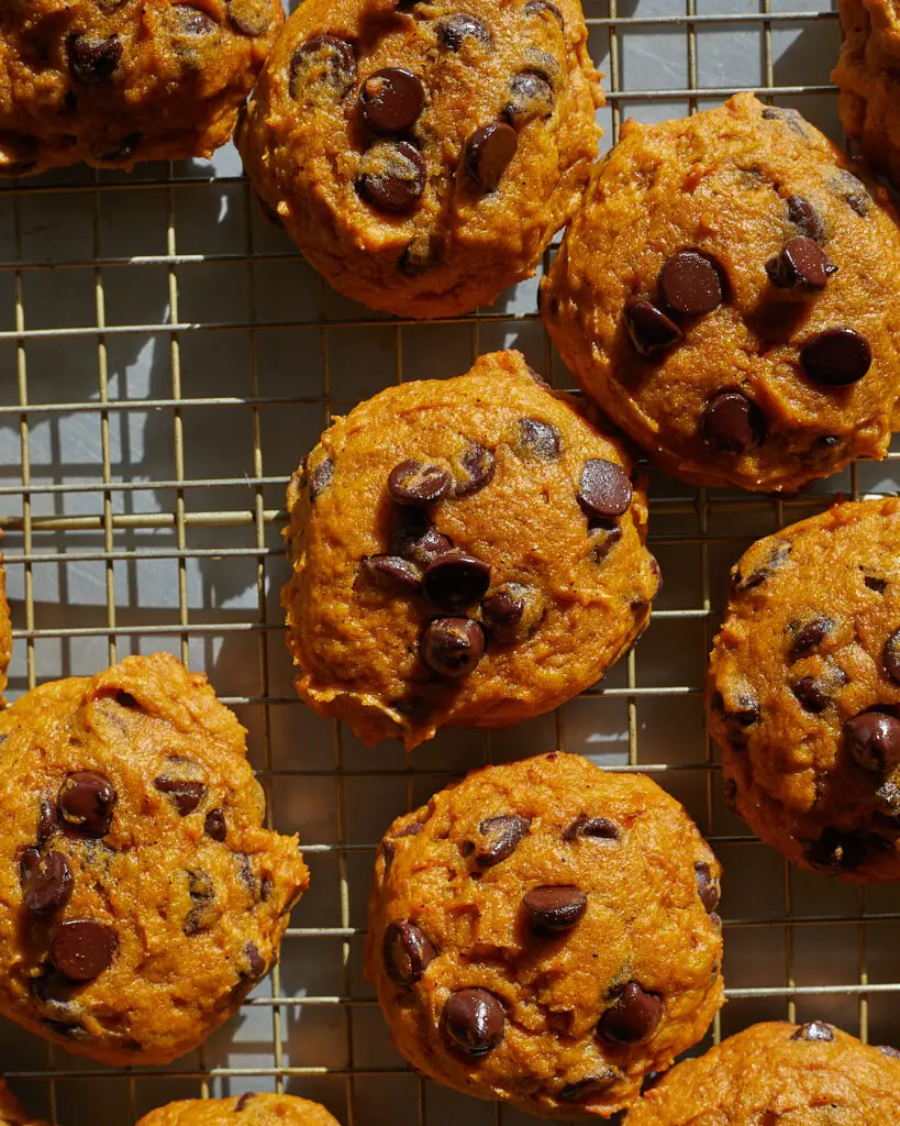 pumpkin chocolate chip cookies on a wire rack